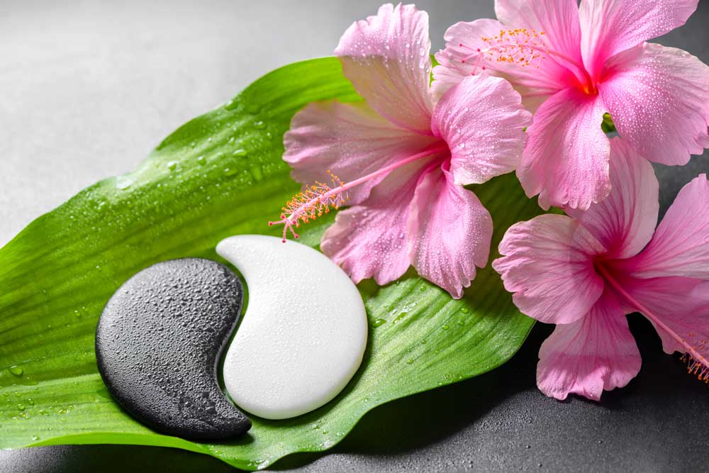 Infusionen (Infusionstherapie)