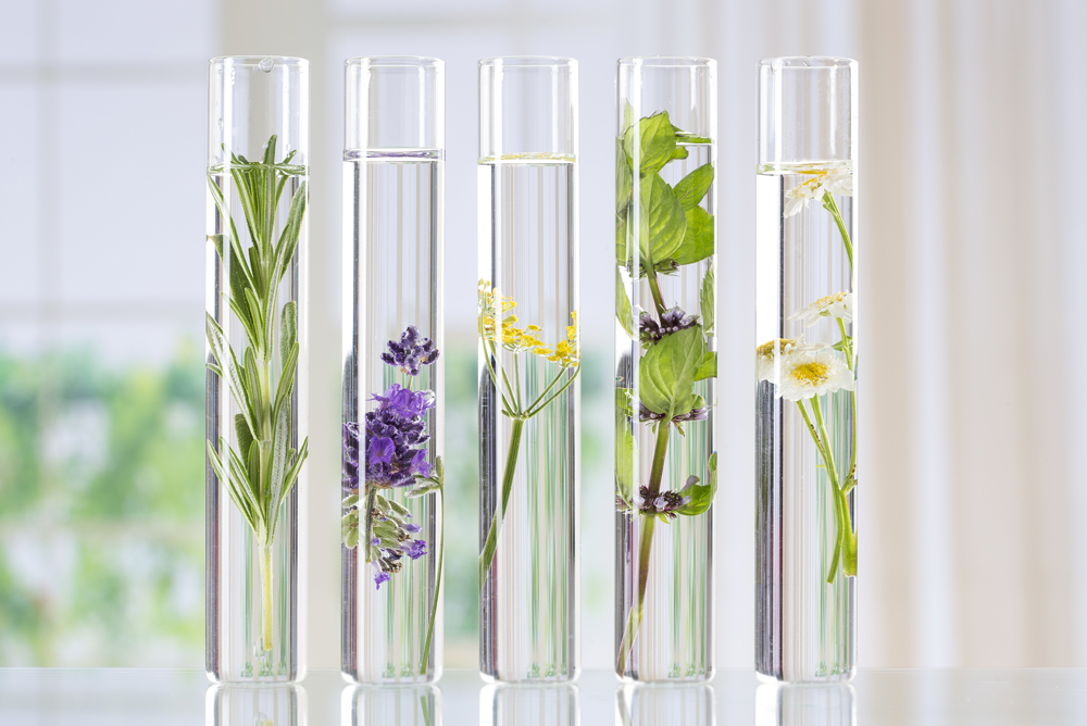 Blühende Blumen im Reagenzglas als Sinnbild für die zahlreichen Naturheilverfahren in der Heilpraxis Christina Kaiser